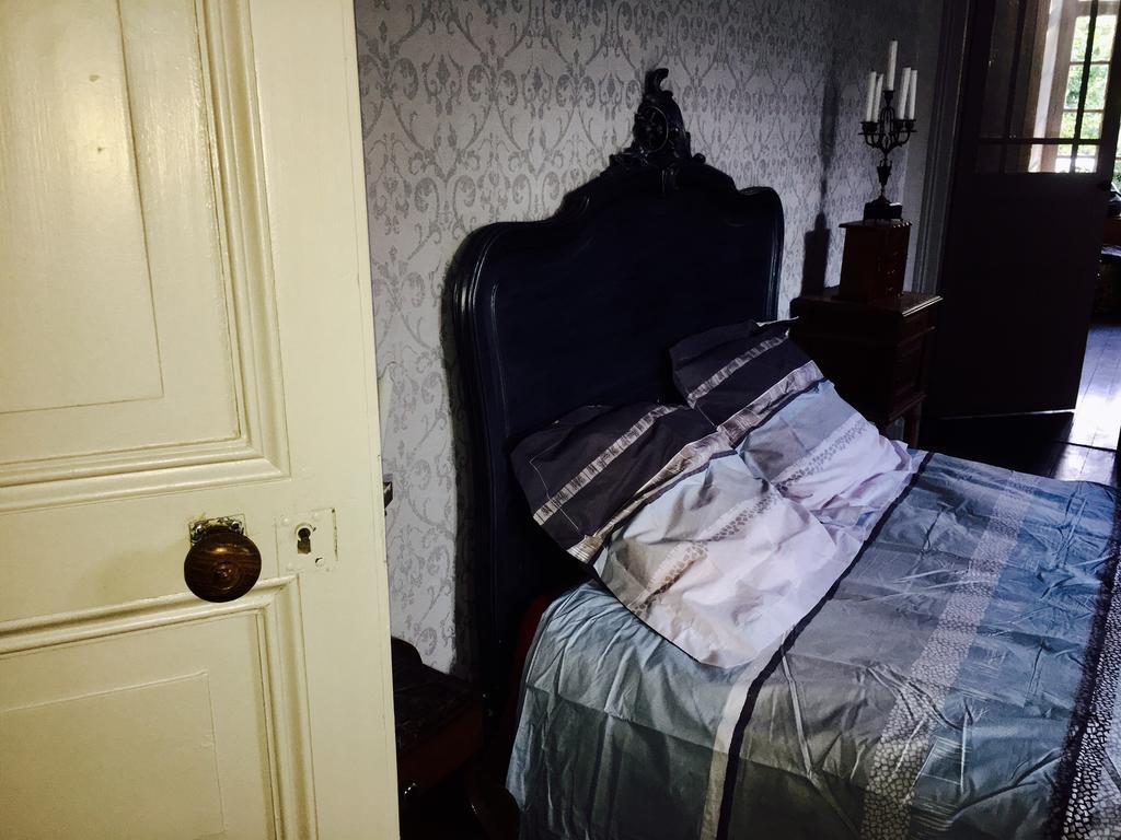 Le Petit Chateau Des Cedres Mouchamps Eksteriør billede