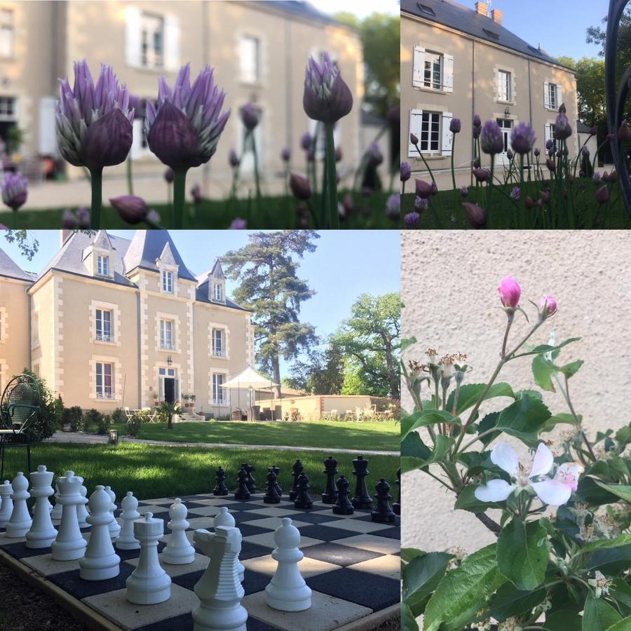 Le Petit Chateau Des Cedres Mouchamps Eksteriør billede
